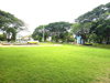 listing thumbnail image 16