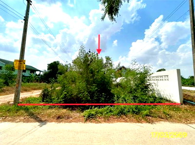 LAND 100 Sq.w. Khlong Luang Pathumthani for 724,000