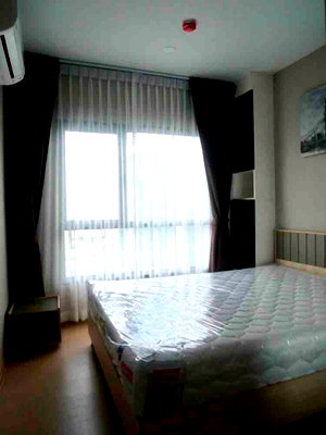 Condos for rent : 🏙️✨ FOR RENT: The Tree Sukhumvit 71 – Ekkamai — HIGH-FLOOR MODERN LIVING IN A PRIME LOCATION!  💰 Rental Price: 14,000 THB/month