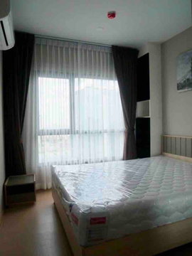 🏙️✨ FOR RENT: The Tree Sukhumvit 71 – Ekkamai — HIGH-FLOOR MODERN LIVING IN A PRIME LOCATION!  💰 Rental Price: 14,000 THB/month