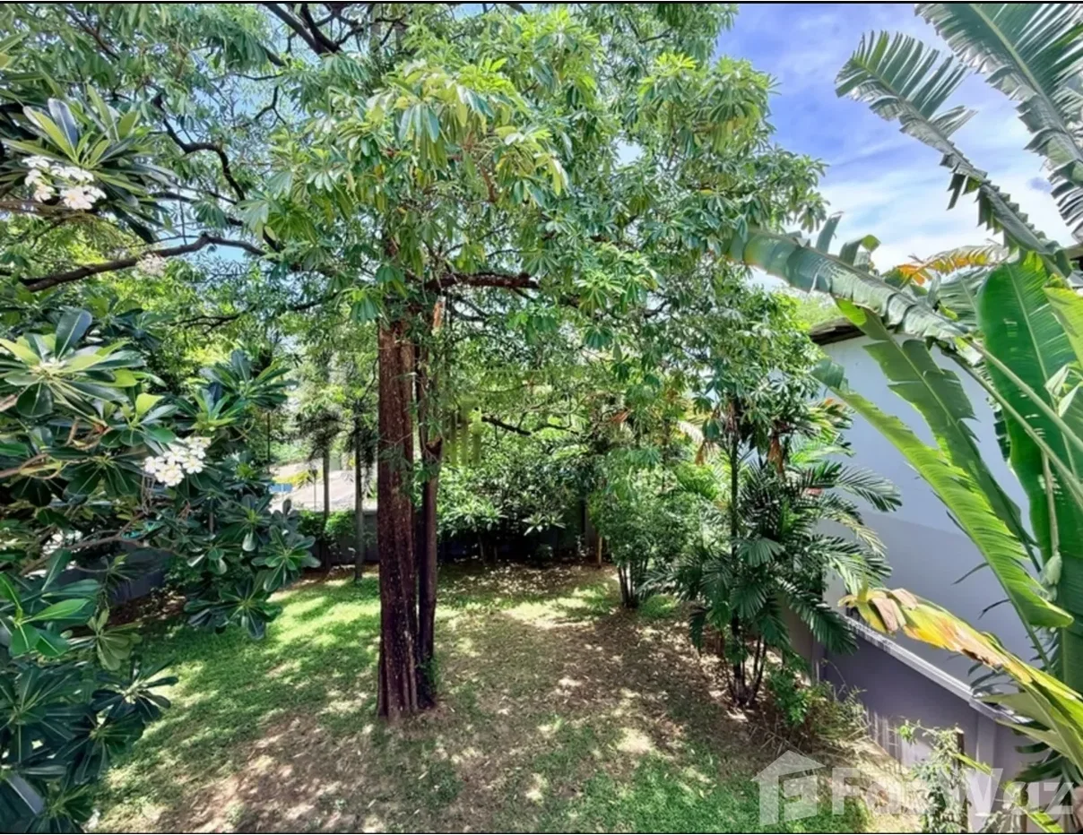 picture Family house sukhumvit 50 (5 bedrooms) 6566352 - 15/17