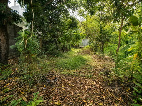 Residential Land for Sale in Khu Khot, Lam Luk Ka – 372 sq.m. with 20m Frontage