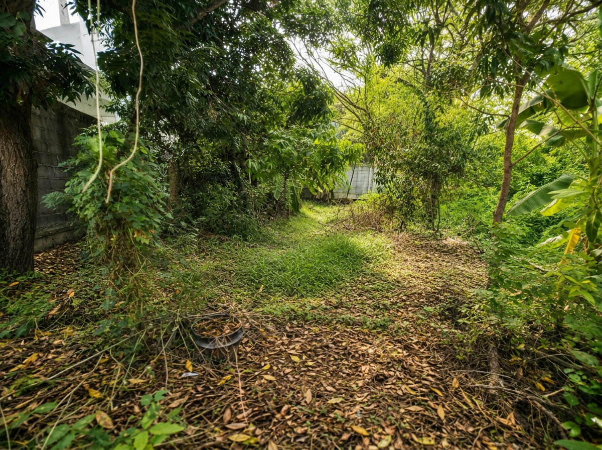 รูป ขายที่ดิน 93 ตร.วา คูคต ลำลูกกา ใกล้ รพ.บีแคร์ หน้ากว้างเกือบ 20 เมตร เหมาะสร้างบ้านเดี่ยว - รูปที่ 1/8