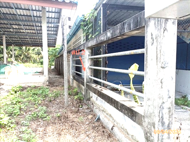 รูป บ้านเดี่ยว 393 ตร.วา ร่อนพิบูลย์ นครศรีธรรมราช 3.3M - รูปที่ 6/16