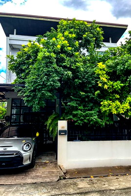 Twin houses for sale Si Racha Chonburi : Twin house for sale, fully furnished and ready to move in. Great location near J-Park Sriracha. 3 bedrooms, 3 bathrooms, 38.5 square wah.