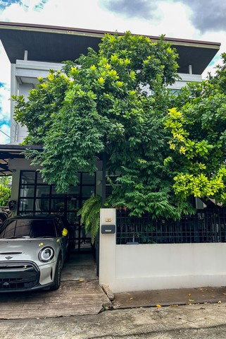 รูป ขายบ้านแฝด ตกแต่งแล้ว พร้อมอยู่ ทำเลดีใกล้เจปาร์ค ศรีราชา 3 ห้องนอน 3 ห้องน้ำ 38.5 ตารางวา - รูปที่ 1/8