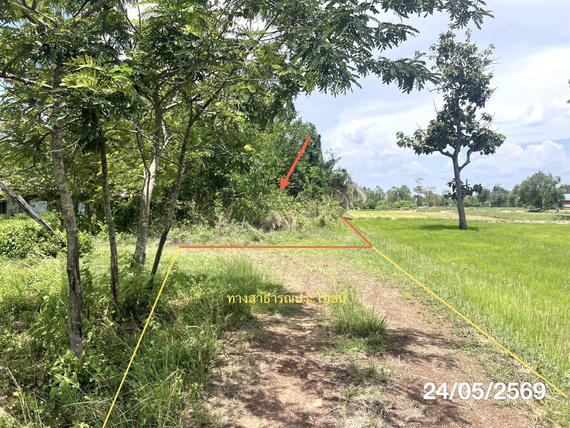 picture HOME 10506.7 Sq.w. Det Udom Ubon Ratchathani for 2.9M - 21/26