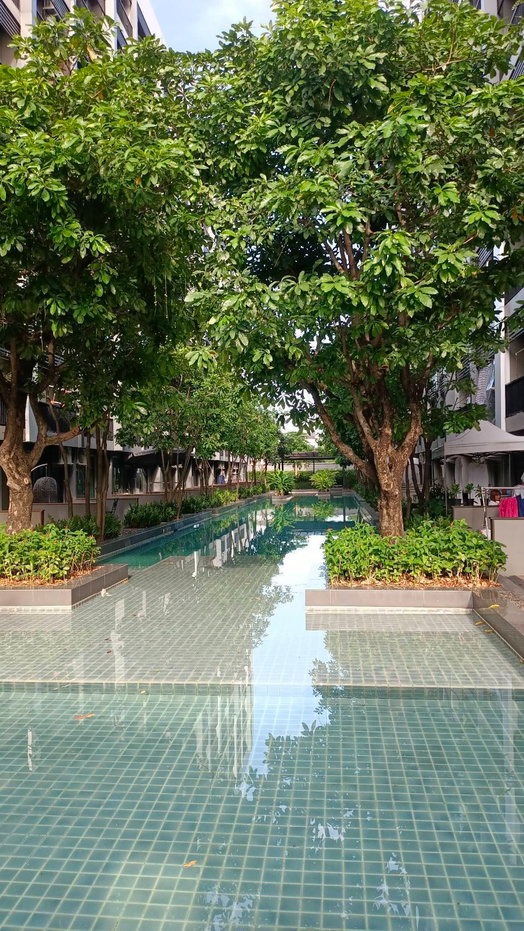 รูป 📣📣ให้เช่า! คอนโด A Space Sukhumvit 77 **ทำเลดีมาก 🚇ใกล้รถไฟฟ้า 3 สาย 🚇ใกล้สถานีสีเหลือง 1นาที ☎️สนใจติดต่อคุณหย๊ะ📞093-4419156 ID : @928zbfqq - รูปที่ 13/13