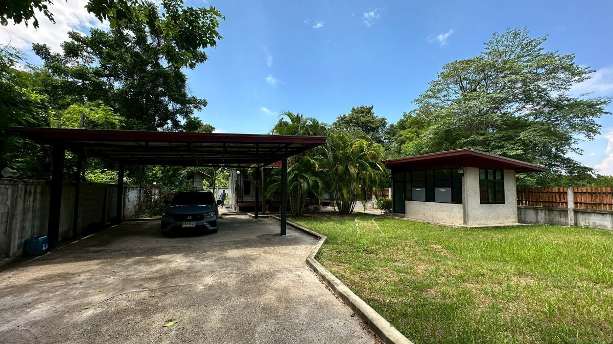 picture For Sale: House and Land (2 Adjoining Plots Included) - 3/13