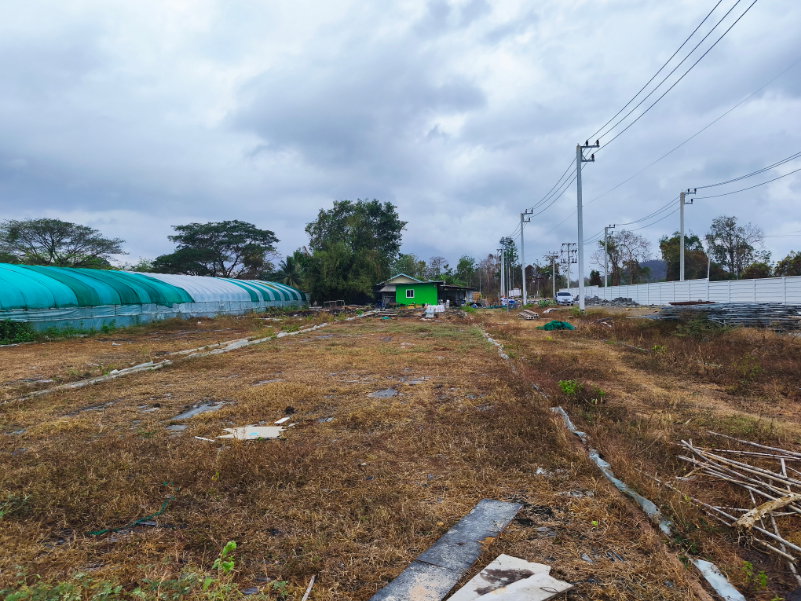รูป ขายที่ดินสีม่วง เขาย้อย เพชรบุรี - รูปที่ 4/12
