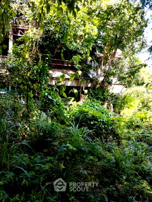 Land for sale Muang Chiang Mai Chiang Mai : Land For Sale 46.9 Sqm Suthep, Mueang Chiang Mai, Chiang Mai (ID 3066239)