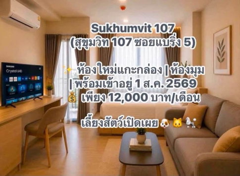 ปล่อยเช่า คอนโด เดอะมูฟ สุขุมวิท 107  By SANSIRI  ใหม่แกะกล่อง ห้องมุม เข้าพักอยู่ได้ 1 ส.ค.2569  เลี้ยงสัตว์แบบเปิดได้