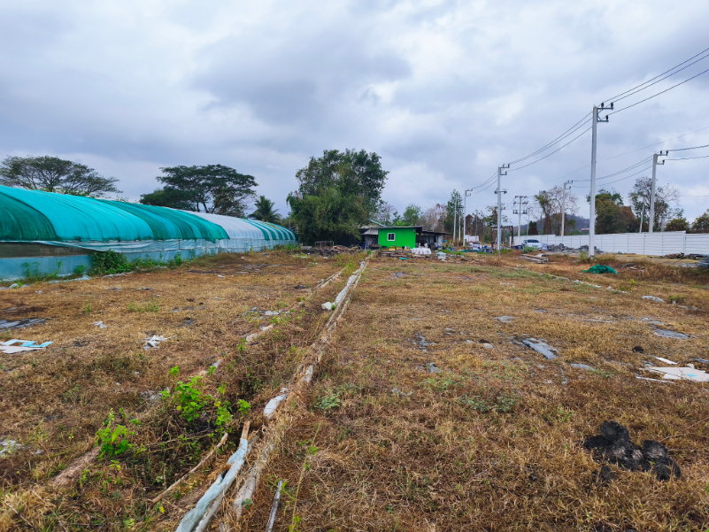 รูป ขายที่ดินสีม่วง เขาย้อย เพชรบุรี - รูปที่ 5/12