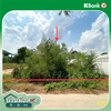 listing thumbnail image 9