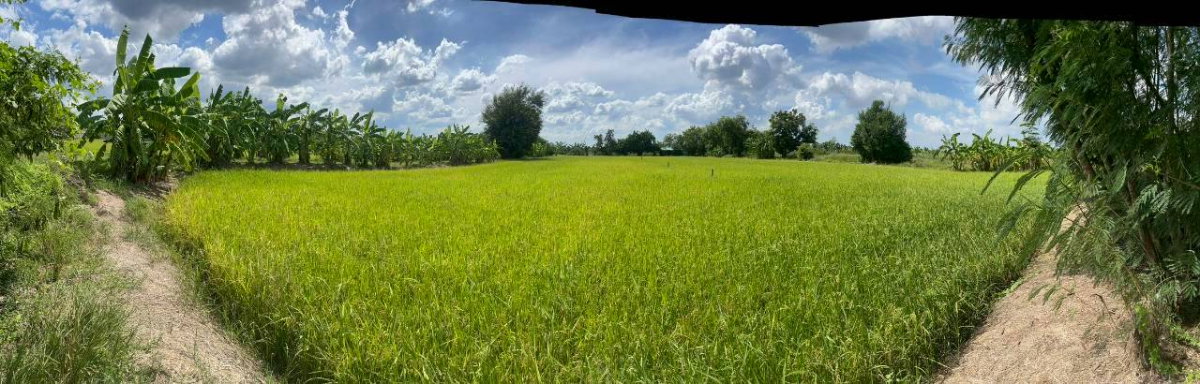 รูป ขายที่ดินเปล่า 116 ตร.วา หนองเพรางาย ไทรน้อย นนทบุรี ใกล้บางใหญ่ ปลูกบ้านสวนบรรยากาศดี ราคาถูก เพียง 7 แสนบาท - รูปที่ 2/9