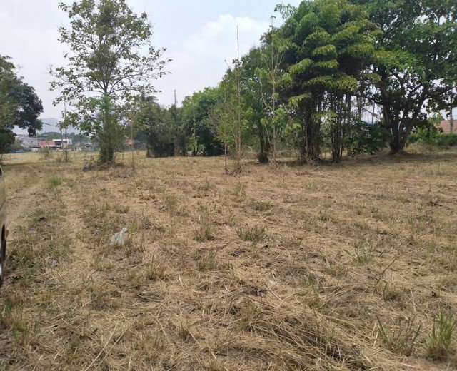 รูป svs356 ขายที่ดิน มวกเหล็ก ใกล้พาราไดซ์รีสอร์ท - รูปที่ 5/12