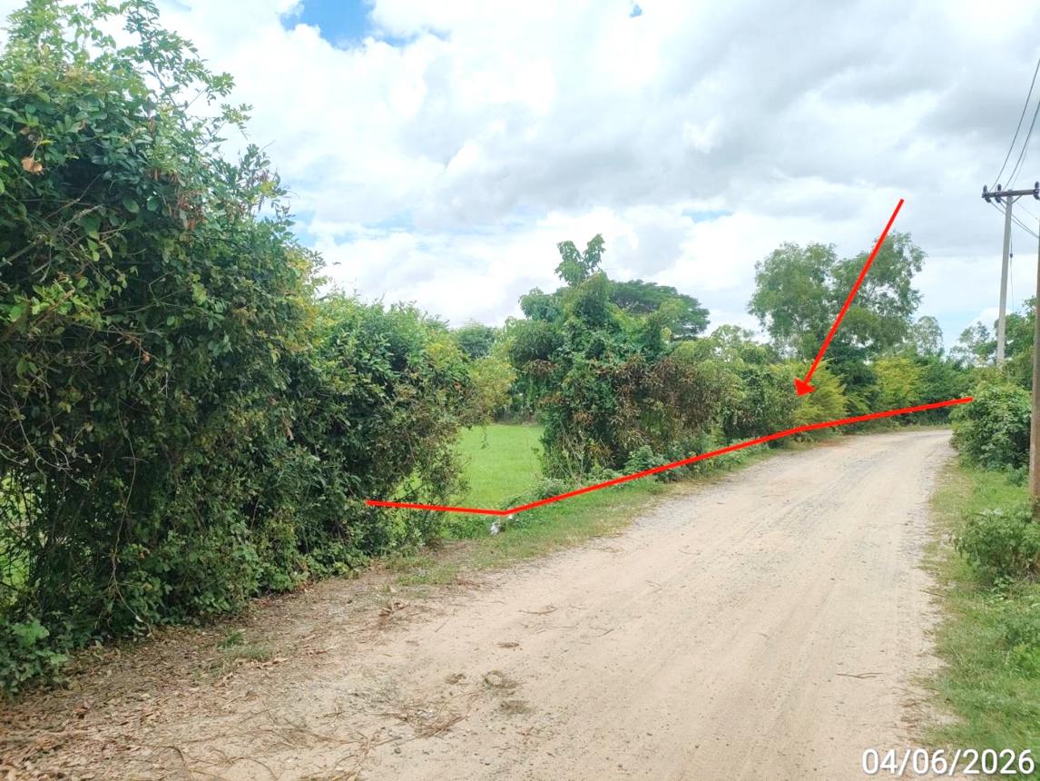 picture LAND 1106 Sq.w. Kaset Wisai Roi Et for 1.5M - 4/10