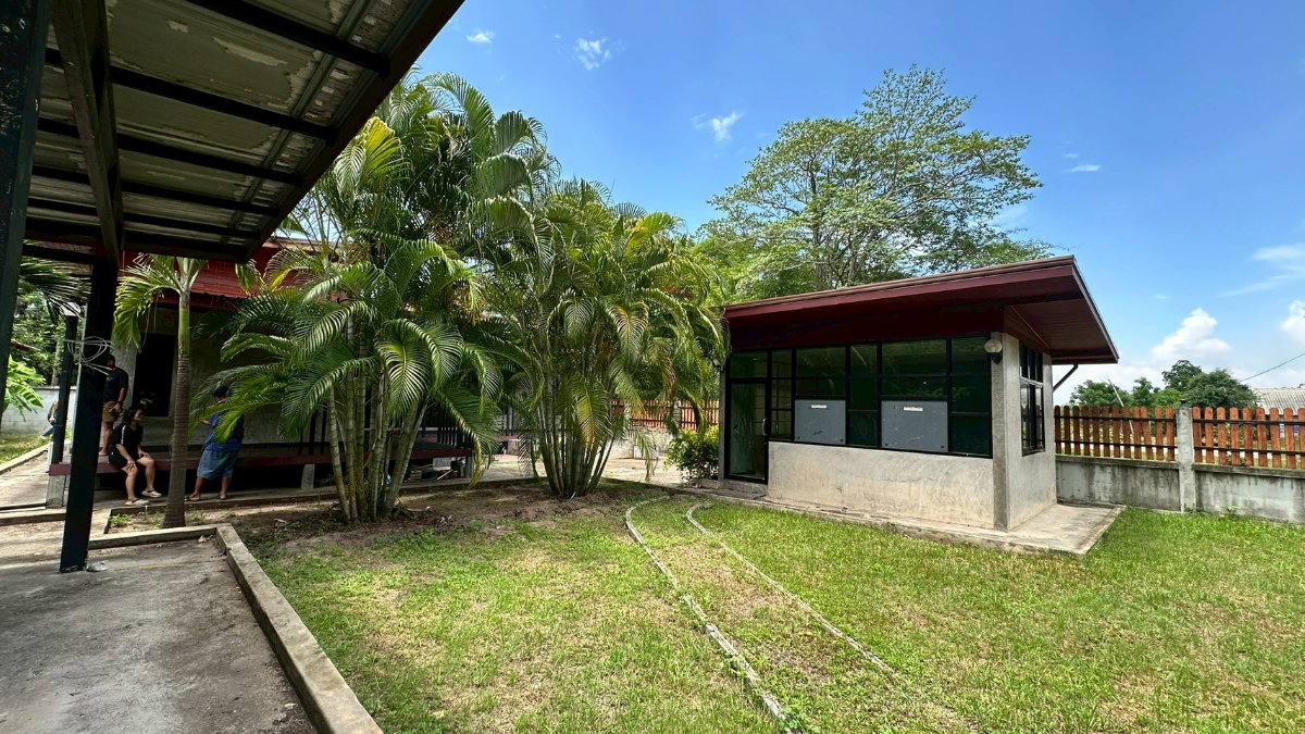 picture For Sale: House and Land (2 Adjoining Plots Included) - 2/13