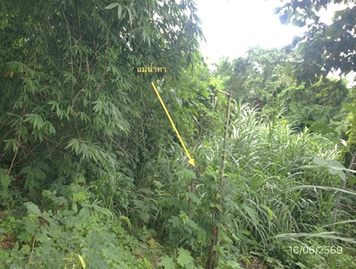 picture LAND 247 Sq.w. Mae Tha Lamphun for 741,000 - 14/18