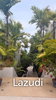 listing thumbnail image 12