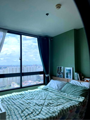 Condos for rent : Artemis Sukhumvit 77 (BTS Onnut) 