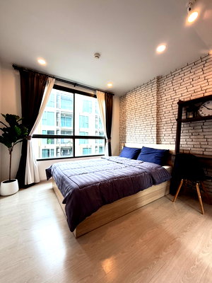 คอนโดให้เช่า : 【 ให้เช่า 】The Tree Sukhumvit 64 BTS ปุณณวิถี 300 ม.