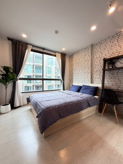 รูปภาพ 【 ให้เช่า 】The Tree Sukhumvit 64 BTS ปุณณวิถี 300 ม.