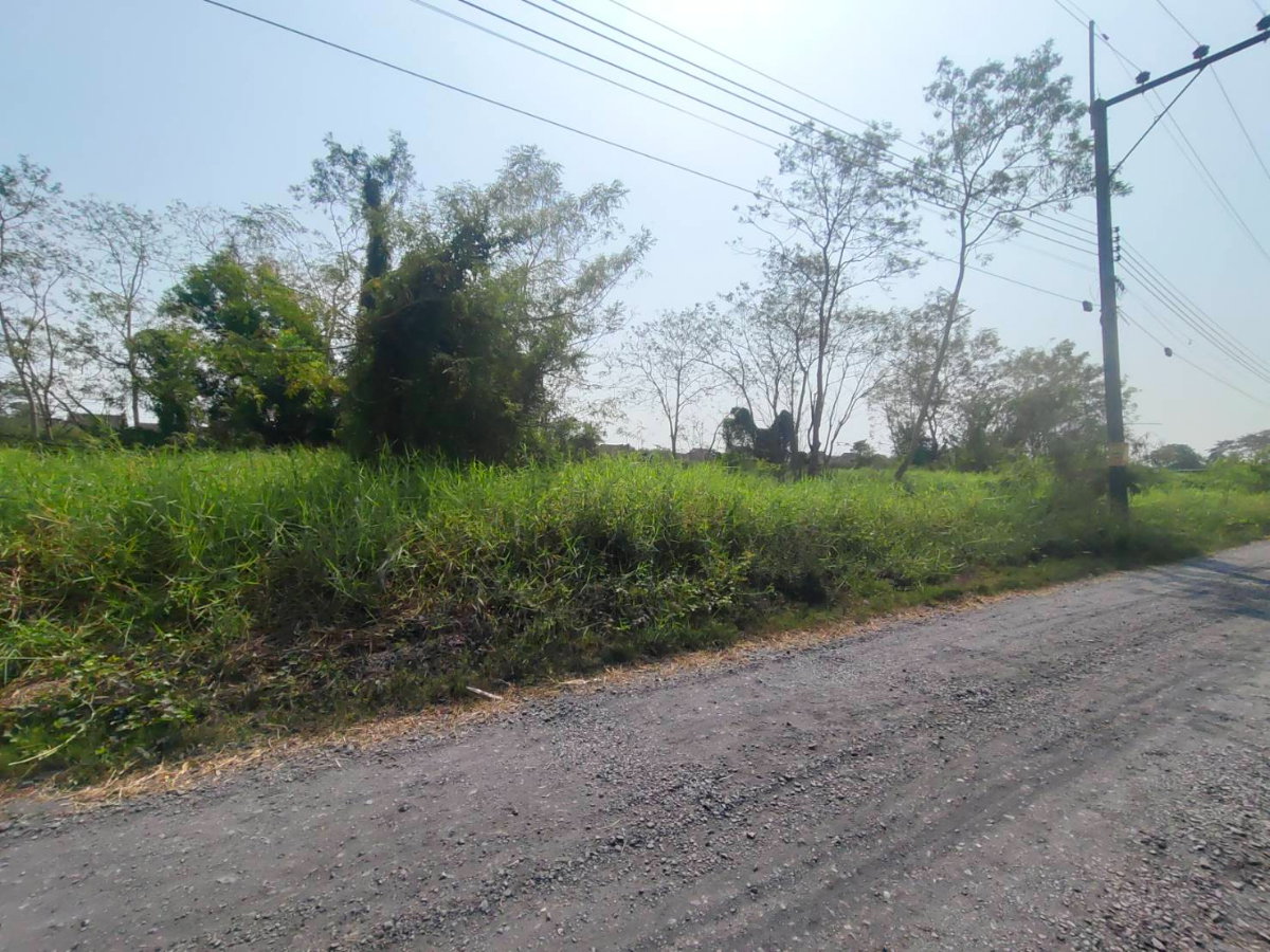 picture Land for Sale: 2 Rai in Rangsit-Nakhon Nayok (Khlong 9) - 5/6