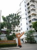 listing thumbnail image 0