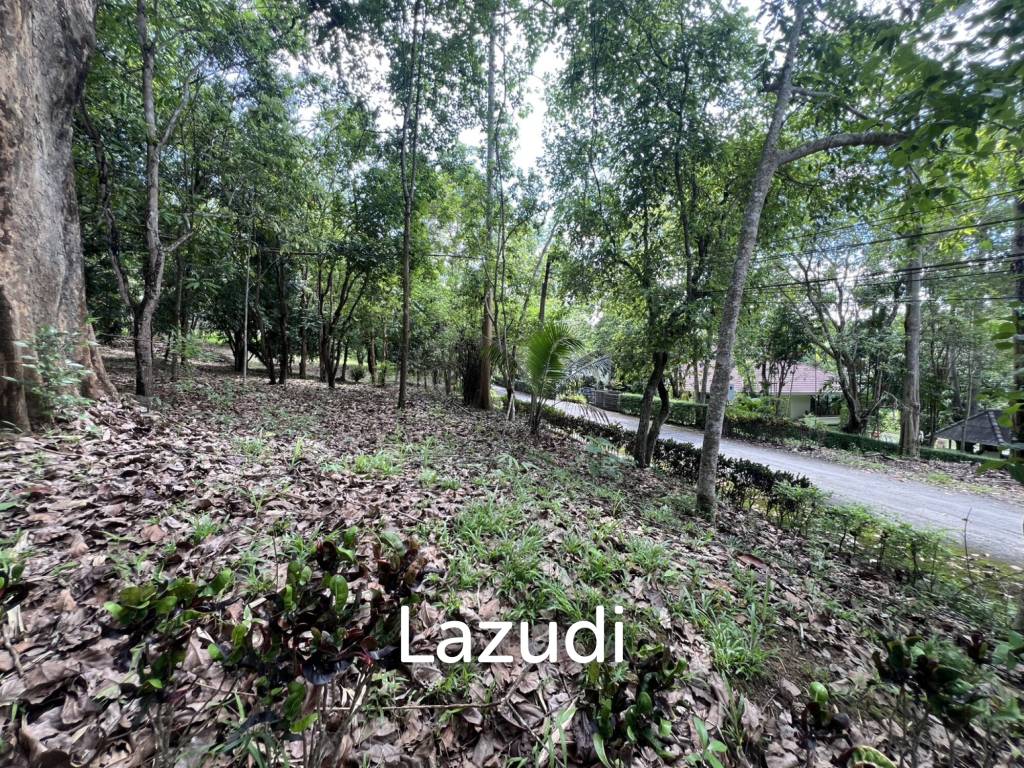 รูป ขายบ้าน 2 ห้องนอนท่ามกลางธรรมชาติในหมู่บ้านภูปลายฟ้า - รูปที่ 17/18