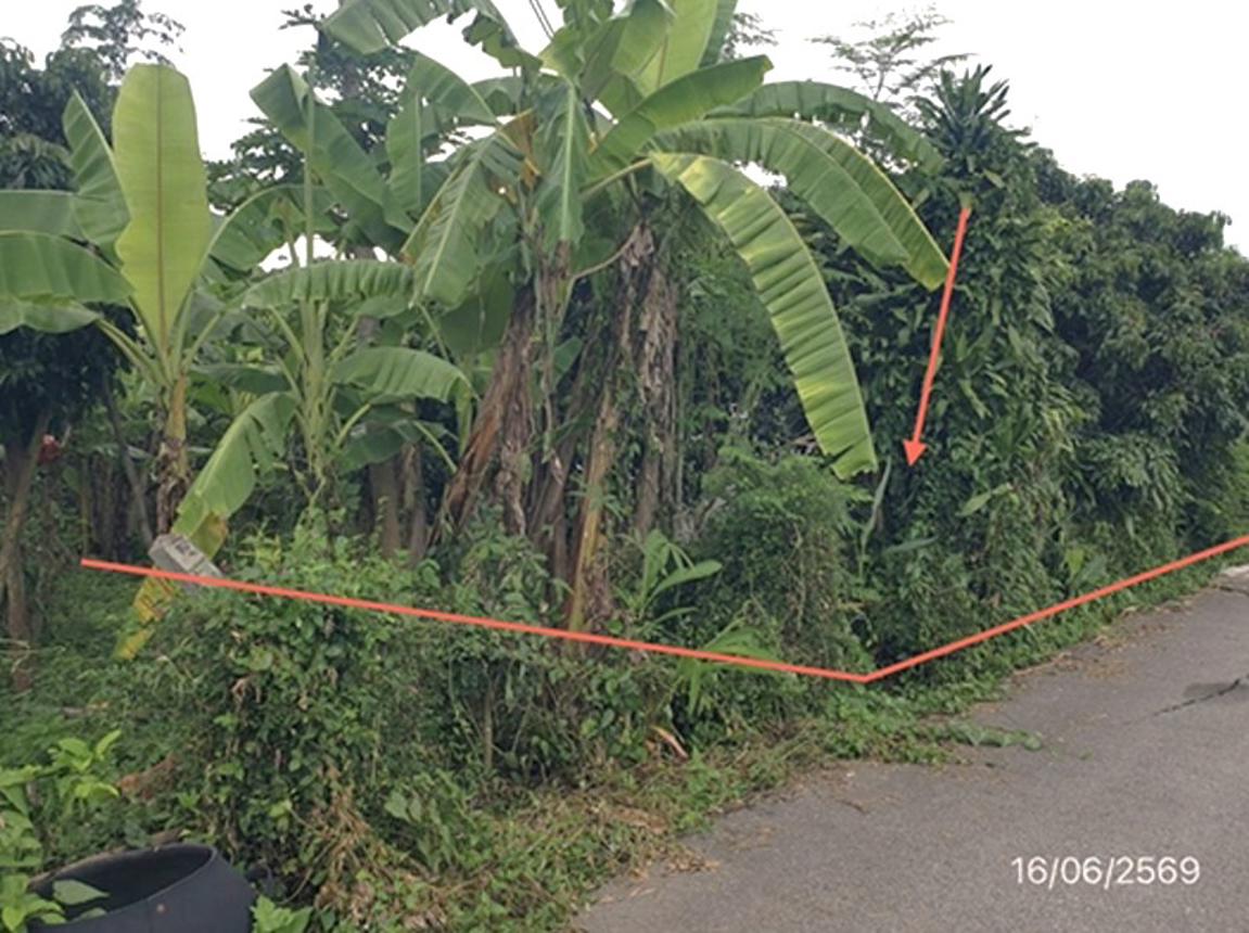 picture LAND 247 Sq.w. Mae Tha Lamphun for 741,000 - 9/18