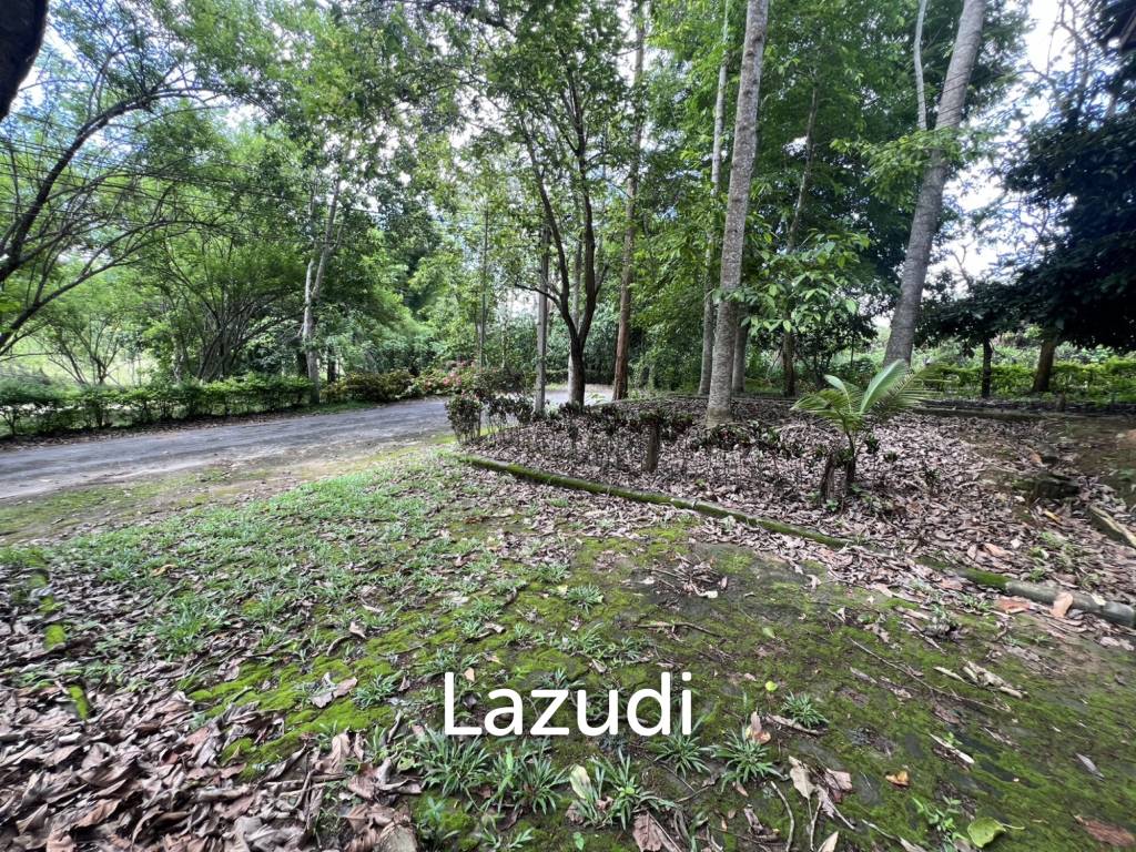 รูป ขายบ้าน 2 ห้องนอนท่ามกลางธรรมชาติในหมู่บ้านภูปลายฟ้า - รูปที่ 13/18