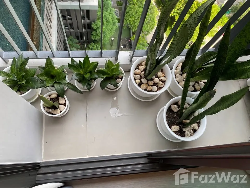 picture Condo For Rent 2 Bedrooms, 2 Bathrooms 6569665 - 32/33