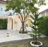listing thumbnail image 9