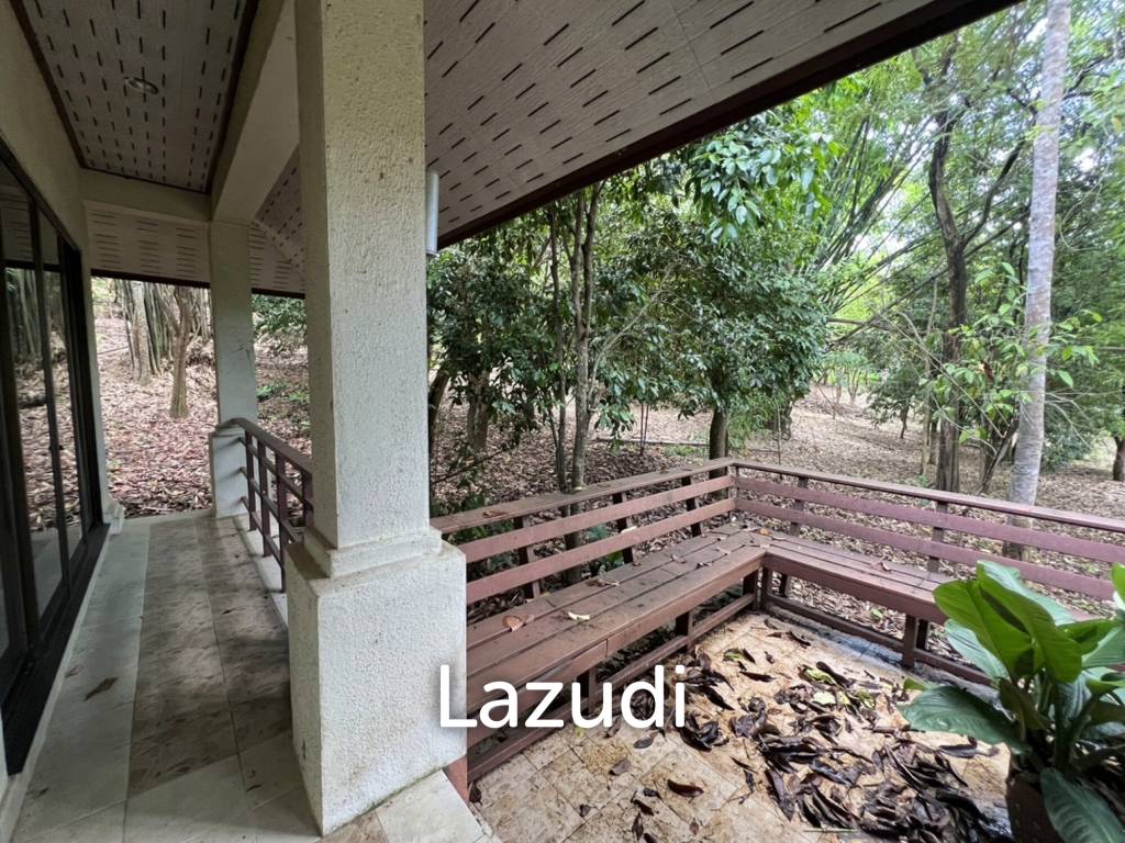 รูป ขายบ้าน 2 ห้องนอนท่ามกลางธรรมชาติในหมู่บ้านภูปลายฟ้า - รูปที่ 11/18