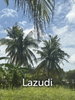 listing thumbnail image 5