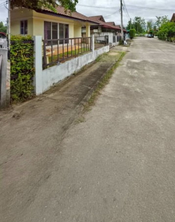 รูป บ้านเดี่ยวทำเลทอง สันผักหวาน หางดง ใกล้หมู่บ้านปาล์มการ์เด็น - รูปที่ 3/12