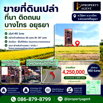 ที่ดิน บางไทร พระนครศรีอยุธยา : ขายที่ดินเปล่า ที่นา ติดถนน บางไทร อยุธยา