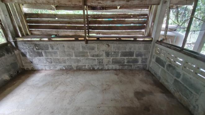 picture HOME 1218 Sq.w. Ko Lanta Krabi for 1.5M - 11/40