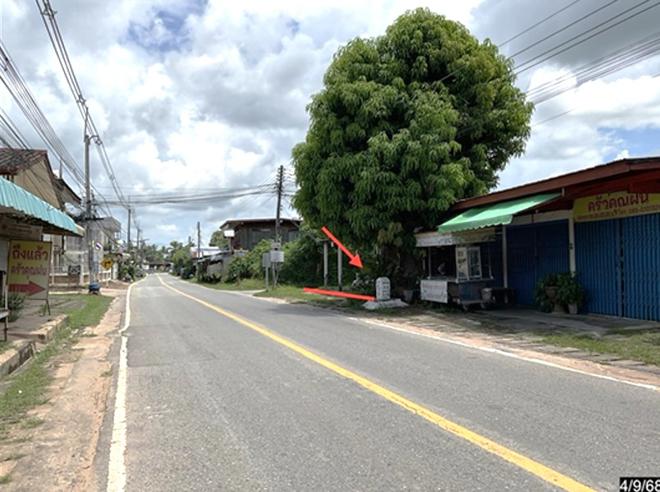 รูป บ้านเดี่ยว 287 ตร.วา นามน กาฬสินธุ์ 3.1M - รูปที่ 5/18