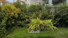 listing thumbnail image 22