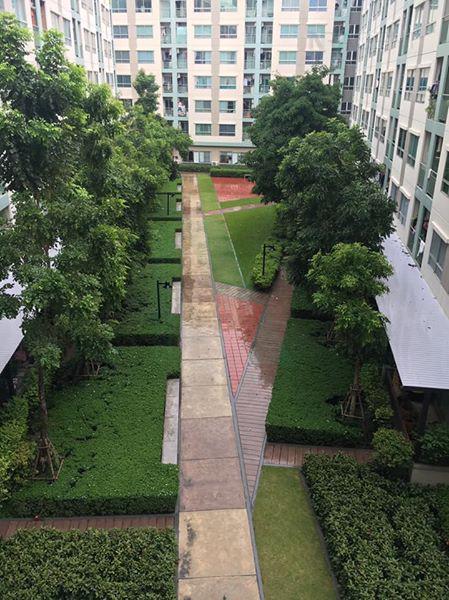 รูป ให้เช่าคอนโด ลุมพินี วิลล์ อ่อนนุช - พัฒนาการ อาคาร C ชั้น 4 1 ห้องนอน ขนาด 26.00 ตรม ใกล้ ซูปเปอร์มาร์เกต แม็กซ์แวลู - รูปที่ 5/8