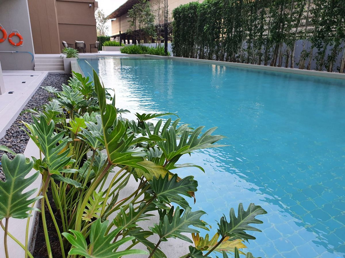 picture 🔥For rent immediately! Brand new, ready to move in condo!🔥 Niche Mono Sukhumvit - Puchaow - 39/39