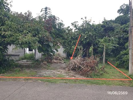 picture LAND 247 Sq.w. Mae Tha Lamphun for 741,000 - 15/18
