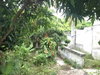 listing thumbnail image 4