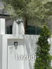 listing thumbnail image 3