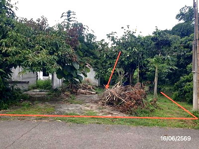 Land for sale Mae Tha Lamphun : LAND 247 Sq.w. Mae Tha Lamphun for 741,000