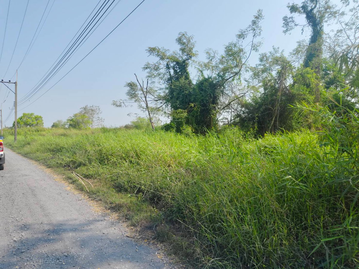 picture Land for Sale: 2 Rai in Rangsit-Nakhon Nayok (Khlong 9) - 4/6