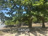 listing thumbnail image 8