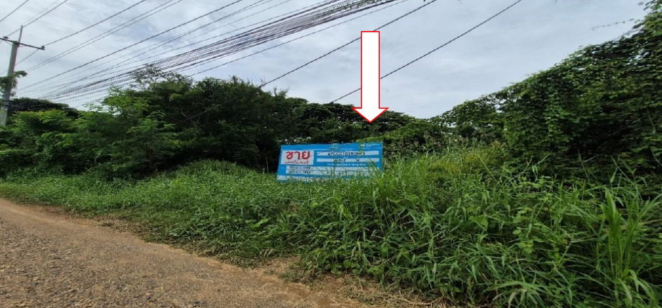 รูป ที่ดินเปล่า 1607 ตร.วา อำเภออินทร์บุรี จังหวัดสิงห์บุรี 4M - รูปที่ 2/11